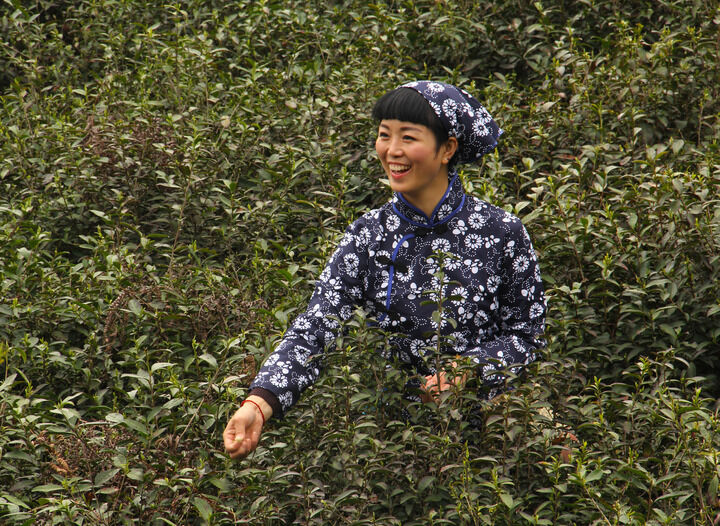 222间房主播跳舞 手枪与玫瑰